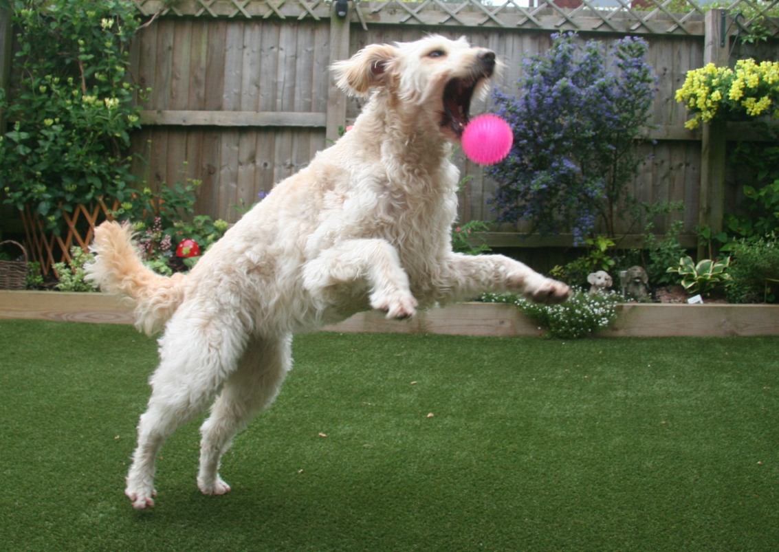 Reduced Energy Levels, Slow Movement or Stiffness?